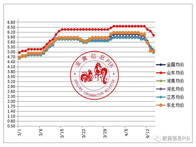 全国毛鸡价格最新行情，全国毛鸡市场价格动态