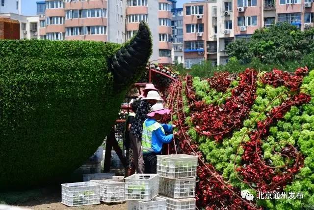 果园环岛最新消息｜果园环岛最新动态