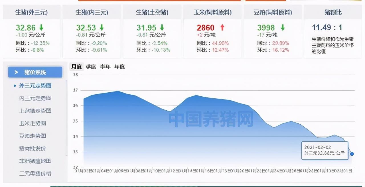 齐眉念别离