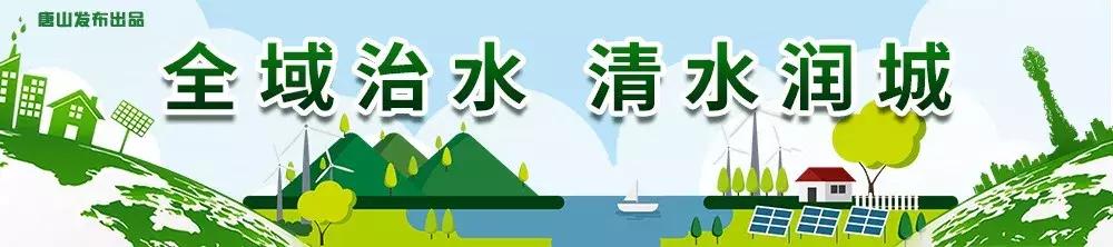 微雨打梨花