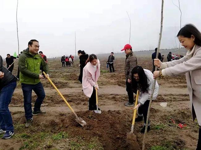 “安庆市焕新启航——美好家园建设新篇章”