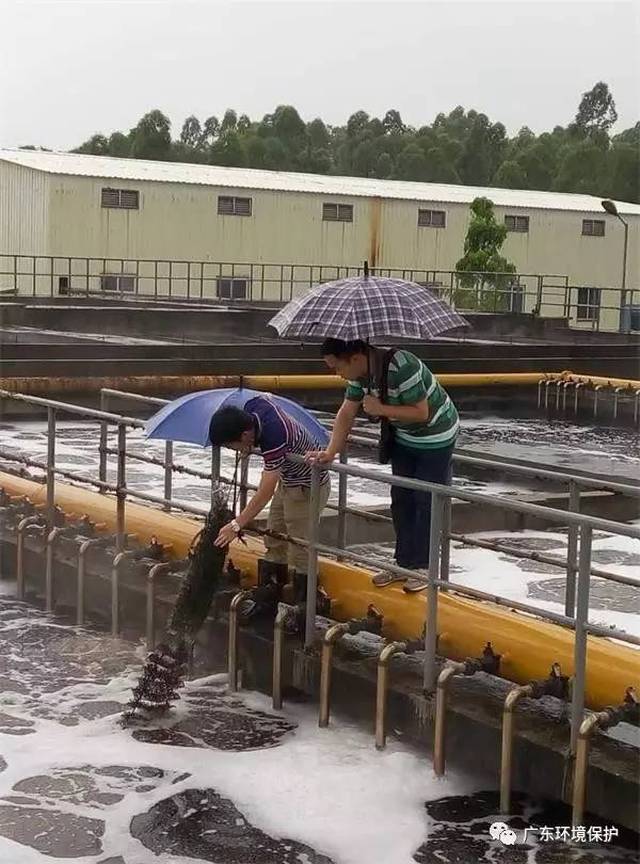 江门环保巡查喜讯频传，绿色家园建设再上新台阶