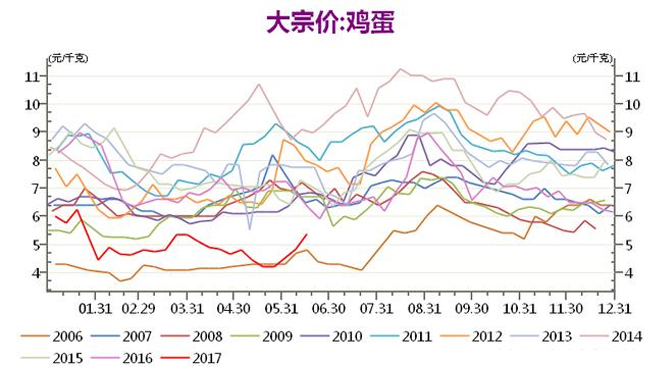 最新出炉：巨野鸡蛋市场价格动态解析